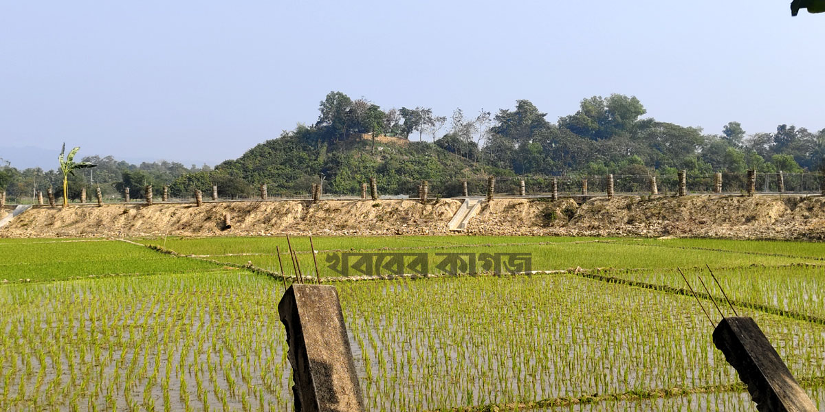 পালংখালী সীমান্তে পড়ে থাকা মরদেহটি ৭২ ঘণ্টা পর উদ্ধার