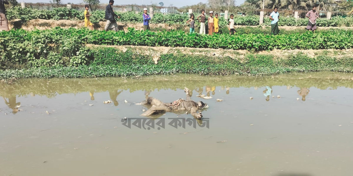 উখিয়ায় খালে ভাসছে জান্তা বাহিনীর সদস্যের মরদেহ!