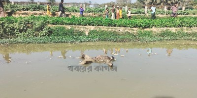 উখিয়ায় খালে ভাসছে জান্তা বাহিনীর সদস্যের মরদেহ!