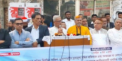দ্বাদশ সংসদ আ.লীগের ‘এ’ আর ‘বি’ টিম : ফারুক