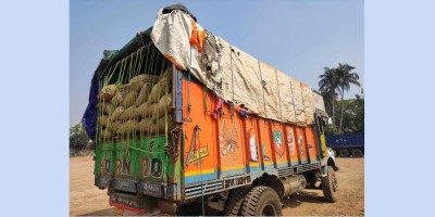 রমজান উপলক্ষে আখাউড়া স্থলবন্দর দিয়ে আদা আমদানি