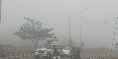 হঠাৎ ঠাকুরগাঁওয়ে ঘন কুয়াশা