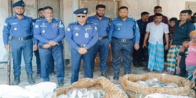 চাঁদপুরে লঞ্চ থেকে ৫০ মণ জাটকা জব্দ, আটক ৩