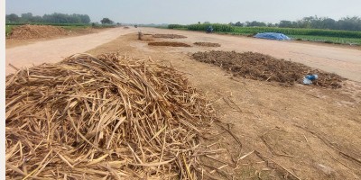 রানওয়েতে চড়ে গরু-ছাগল