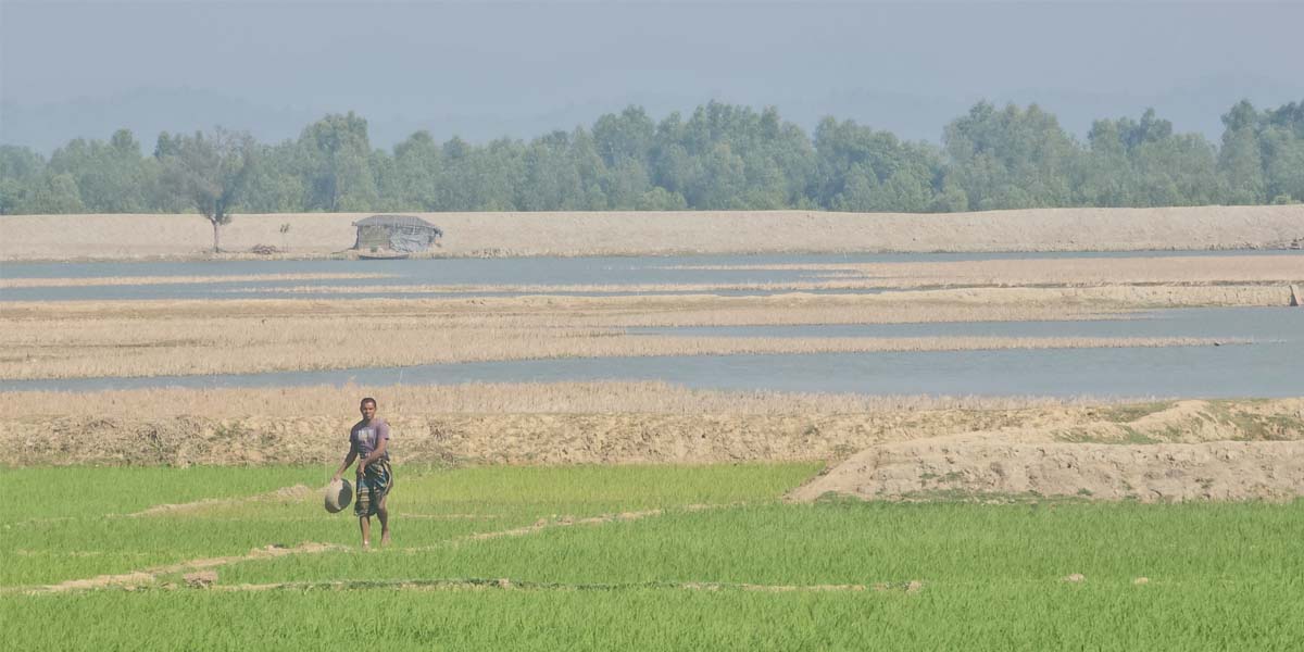 মায়ানমারের মর্টারশেলের শব্দে আতঙ্কে হোয়াইক্যং সীমান্তবাসী