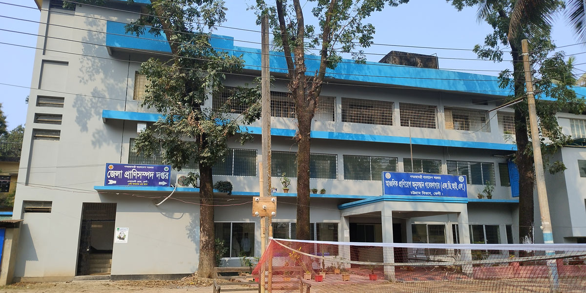 ফেনী প্রাণিসম্পদ দপ্তরে জনবল সংকটে ব্যাহত সেবা