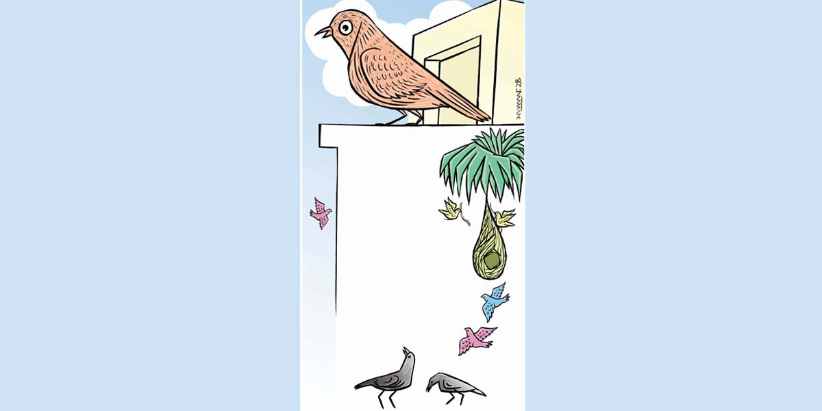 রানাকুমার সিংহ এর 'চড়ুই পাখির ব্যবসা'