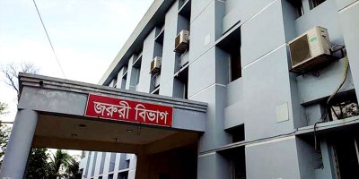 ফরিদগঞ্জে কুকুরের কামড়ে শিশুসহ আহত ২০