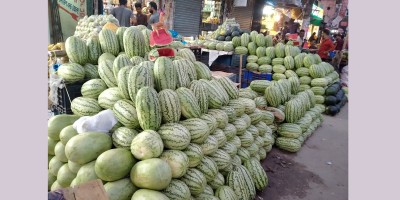 বয়কটের প্রভাব : তরমুজ আছে, ক্রেতা নেই