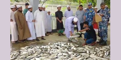 চাঁদপুরে মাছসহ ট্রলার জব্দ