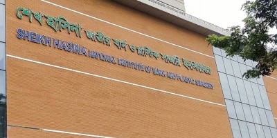 ধামরাইয়ে সিলিন্ডার বিস্ফোরণ : চিকিৎসাধীন বাবা-মা ও সন্তানের মৃত্যু