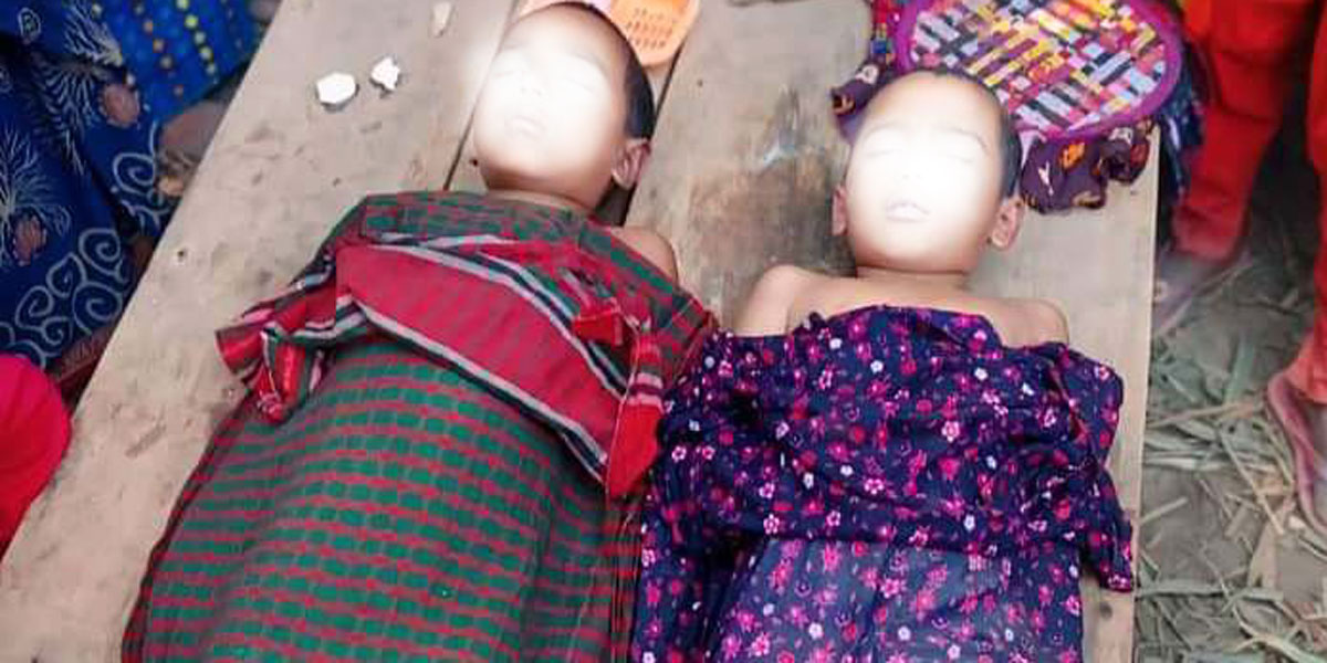 নানীর সঙ্গে মাছ ধরতে গিয়ে সহোদরের মৃত্যু