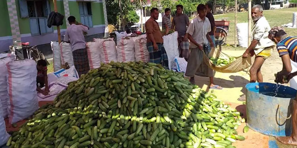 জয়পুরহাটে কমেছে সবজির দাম