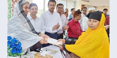 প্রবাসীদের রেমিট্যান্স উন্নয়নের মূল চালিকাশক্তি : সমাজকল্যাণমন্ত্রী