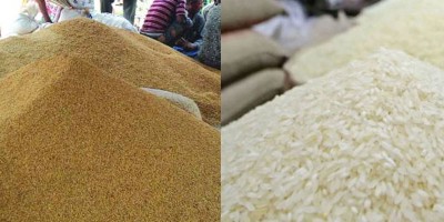 সাড়ে ১৭ লাখ টন ধান-চাল কিনবে সরকার