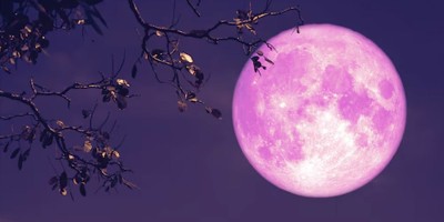 মোহনীয় গোলাপি চাঁদ