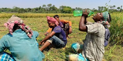 ৪২.২ ডিগ্রি তাপমাত্রায় পুড়ছে চুয়াডাঙ্গা