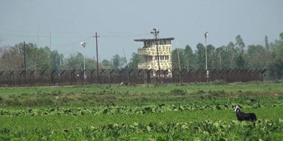 লালমনিরহাটে বিএসএফের গুলিতে বাংলাদেশি নিহত