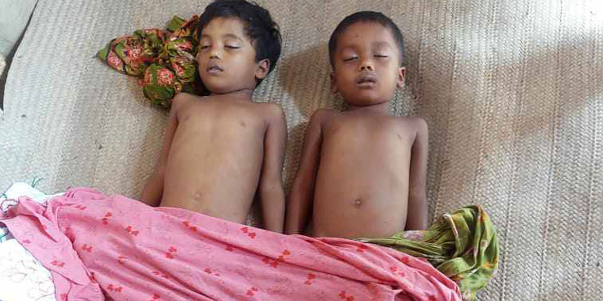 রাজশাহীতে পুকুরের পানিতে ডুবে ২ শিশুর মৃত্যু