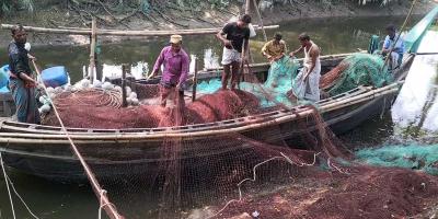 আজ থেকে মেঘনায় জেলেদের মাছ ধরা শুরু