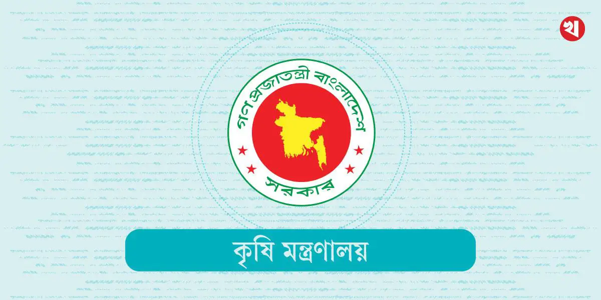 হাওরের প্রায় শতভাগ বোরো ধান কাটা শেষ: কৃষি মন্ত্রণালয়