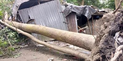 কিশোরগঞ্জে ঝড়ে গাছ পড়ে মা-ছেলের মৃত্যু