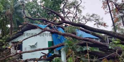 মিরসরাইয়ে কালবৈশাখী ঝড়ে ব্যাপক ক্ষয়ক্ষতি