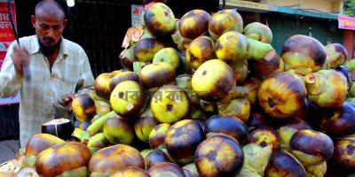 স্বাদে-গুণে ভরা পানিতাল
