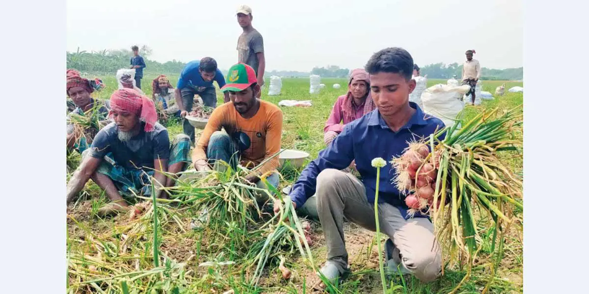 ইউটিউব দেখে আধুনিক চাষাবাদ