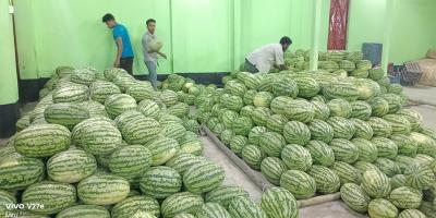 কিশোরগঞ্জে তরমুজের দর পাইকারিতে কম, খুচরায় বেশি
