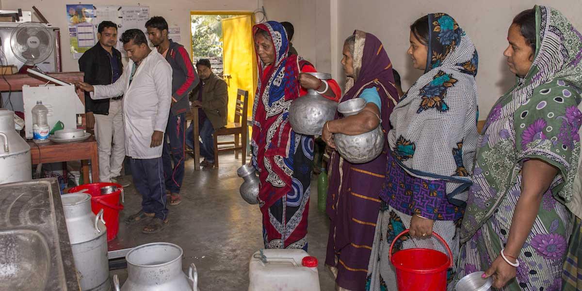 ডেয়ারিতে স্বাবলম্বী হচ্ছেন নারীরা