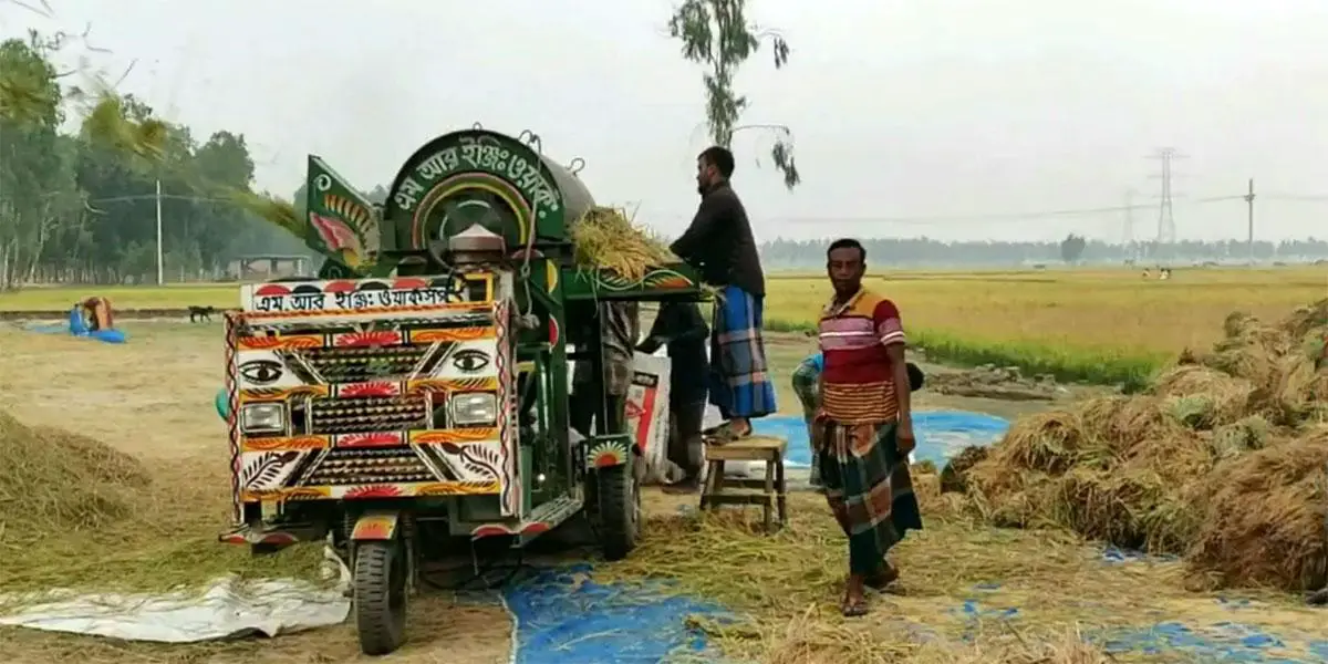 হিলিতে বোরো ধানের বাম্পার ফলন, দাম নিয়ে দুশ্চিন্তায় কৃষক