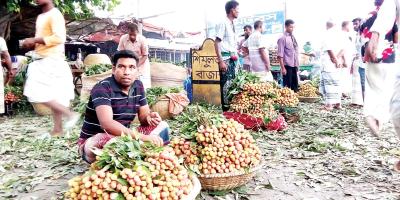 অতিরিক্ত তাপমাত্রায় ফলন কম,  লিচুর আকারও ছোট