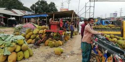 সংরক্ষণের অভাবে নষ্ট হয় লাখ টাকার কাঁঠাল
