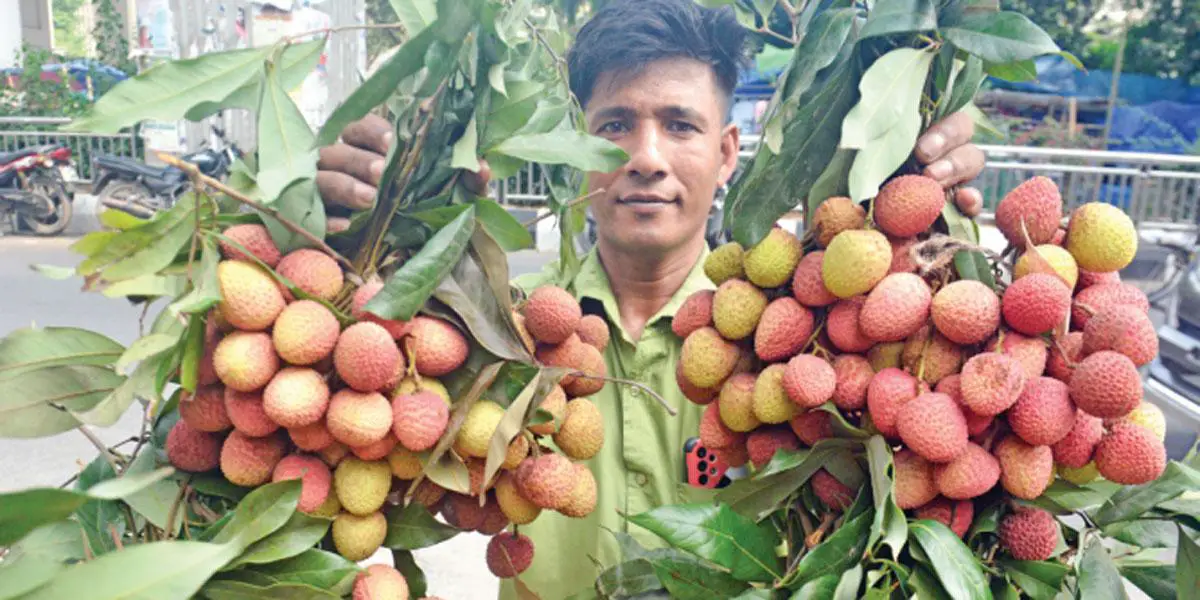 পথে পথে লিচুর পসরা