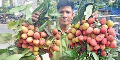 পথে পথে লিচুর পসরা