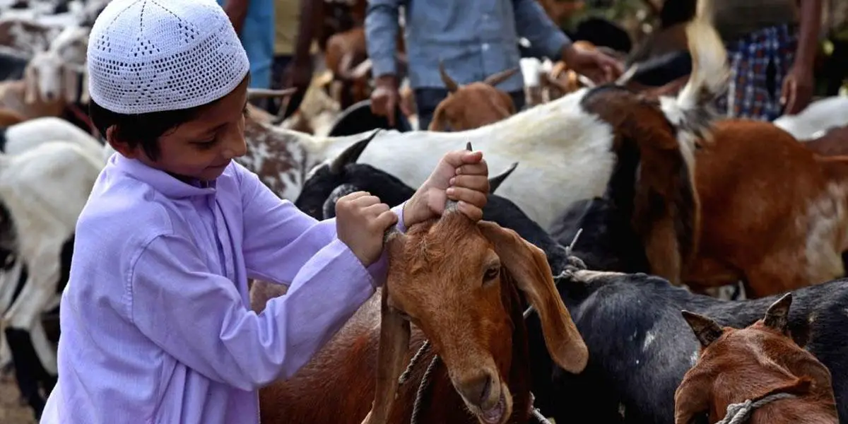 যেভাবে শুরু হয় কোরবানির রীতি