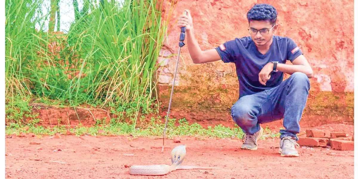 সাপের বন্ধু রাজু