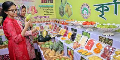 ফলের রাজ্যে ভিড়
