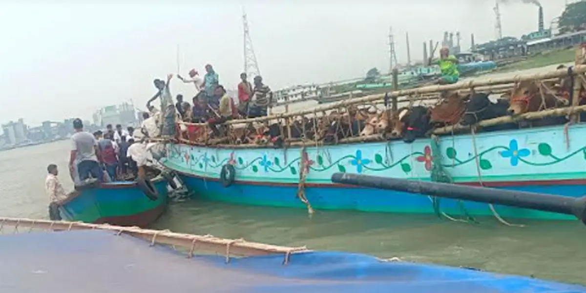 অস্ত্রের মুখে গরুবোঝাই ট্রলার ছিনতাইয়ের চেষ্টা, আটক ৪
