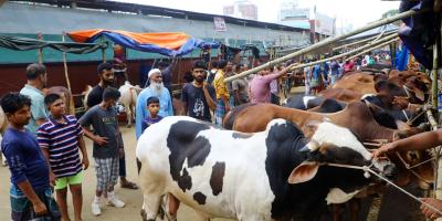 সরেজমিন: হাটে হাটে ঘুরছেন ক্রেতা