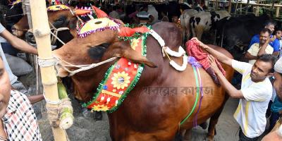 নানা সাজে কোরবানির পশু