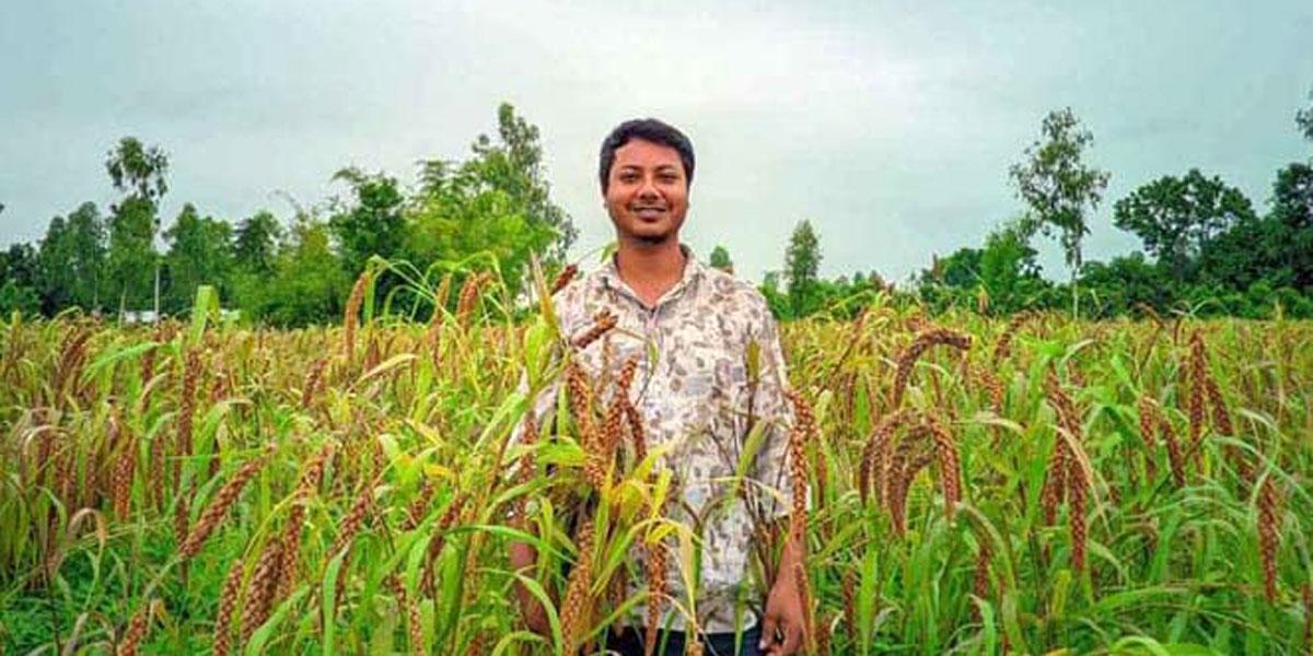 বাদামের সঙ্গে কাউন চাষে সফল দিনাজপুরের রেজা