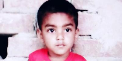 চুয়াডাঙ্গায় সাপের কামড়ে শিশুর মৃত্যু
