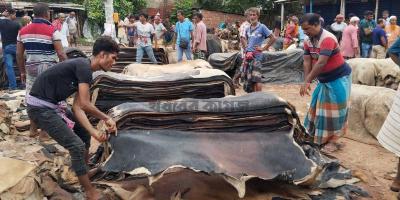 রাজারহাট এক দিনে প্রায় ৭৫ হাজার চামড়া বিক্রি