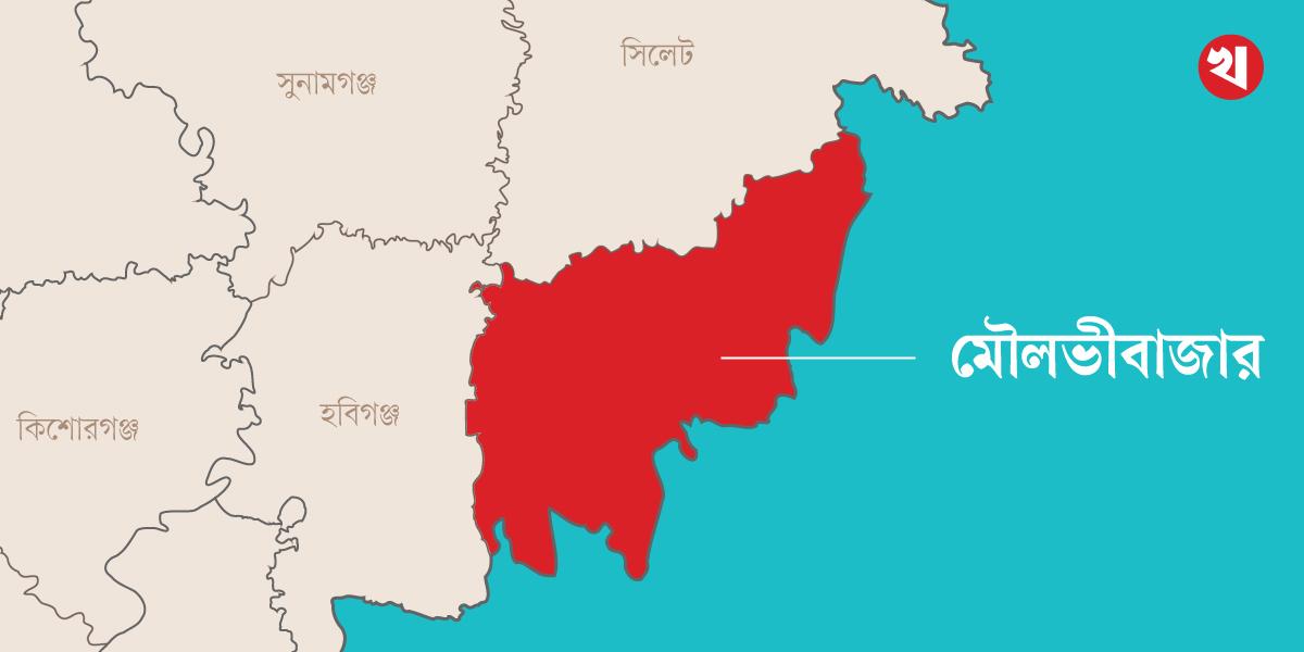 মৌলভীবাজারের পানিতে ডুবে ৩ শিশুর মৃত্যু