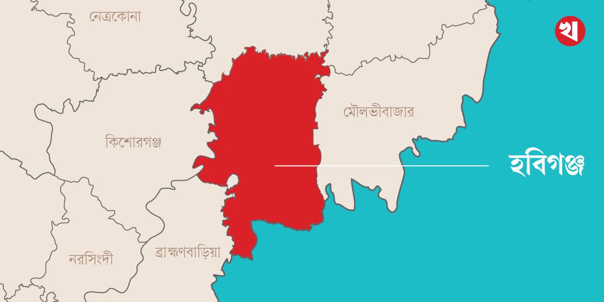 আজমিরীগঞ্জে পুকুরে ডুবে ২ শিশুর মৃত্যু