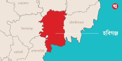 আজমিরীগঞ্জে পুকুরে ডুবে ২ শিশুর মৃত্যু