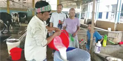 নীলফামারীতে বেড়েছে দুধ উৎপাদন