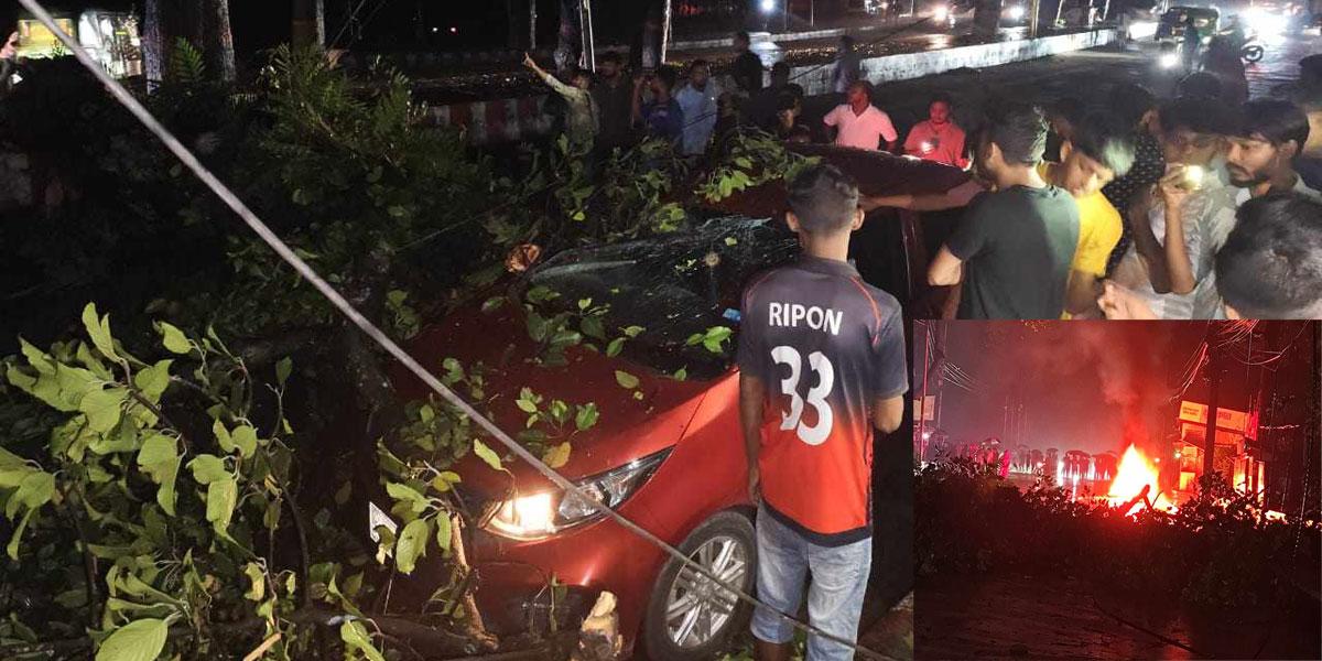 সিআরবিতে গাছের ডাল ভেঙে পড়ল প্রাইভেটকারে